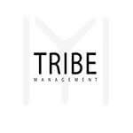 Logo Tribe agence