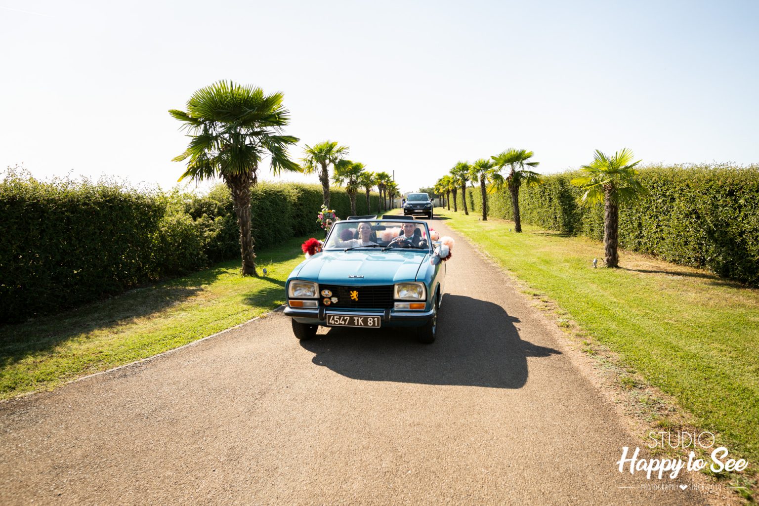 voiture sur domaine