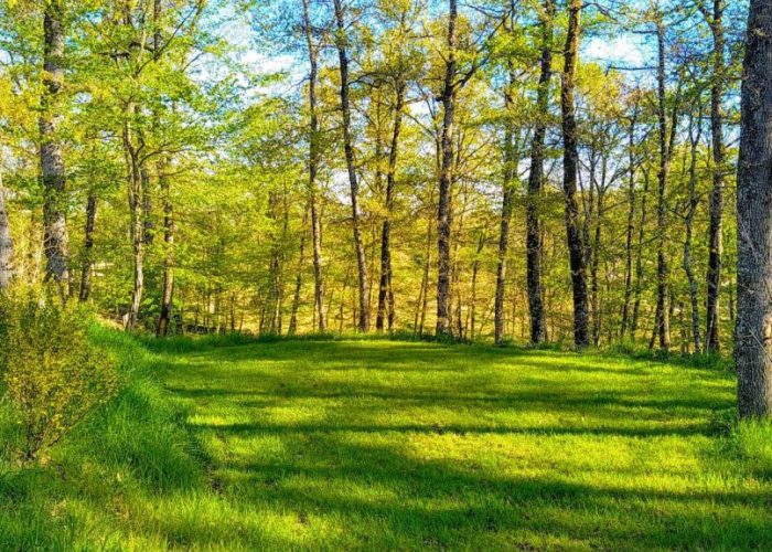 Emplacement en pleine nature