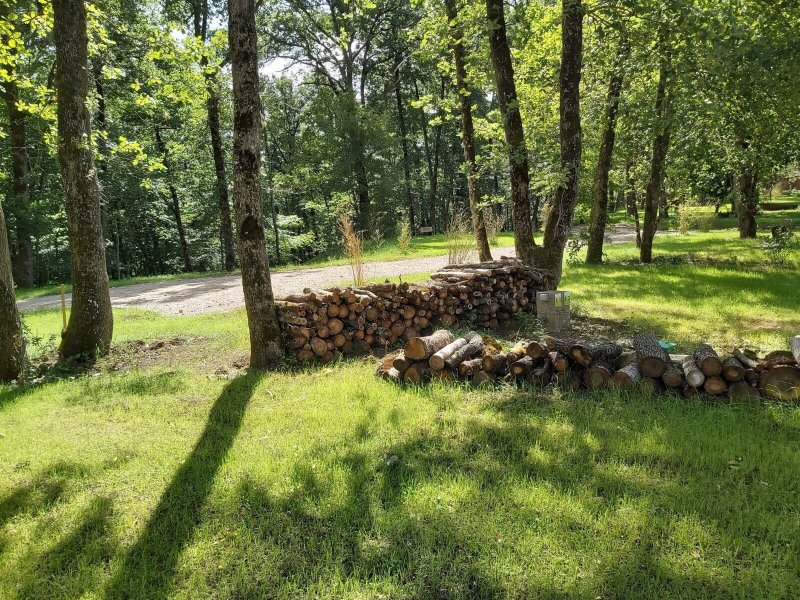 Les emplacements de camping semi ombragé au coeur de la forêt