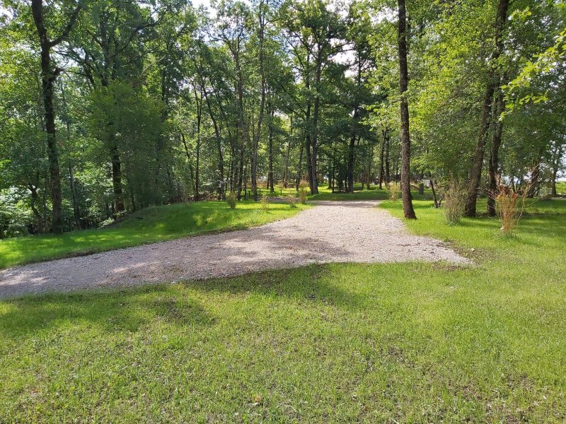 Vue générale de nos emplacements de camping au coeur de la forêt