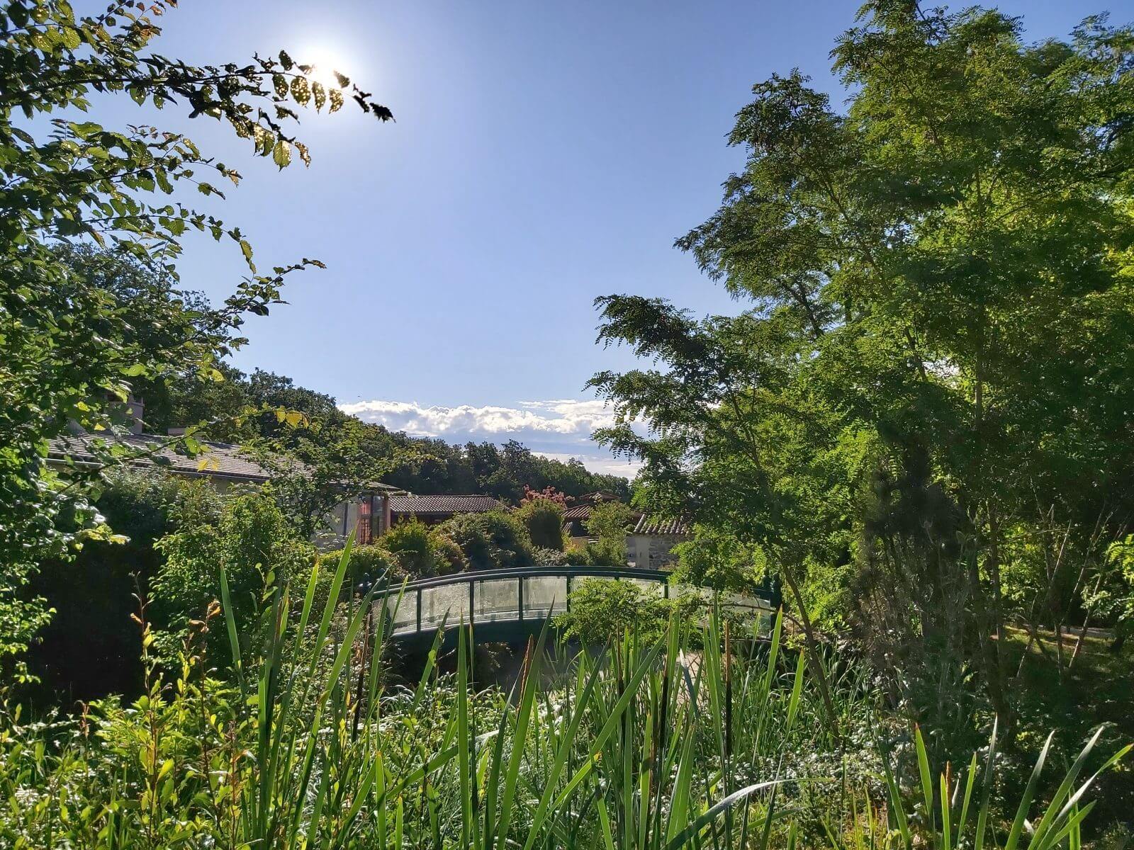 le pont du koin kalme sous le soleil