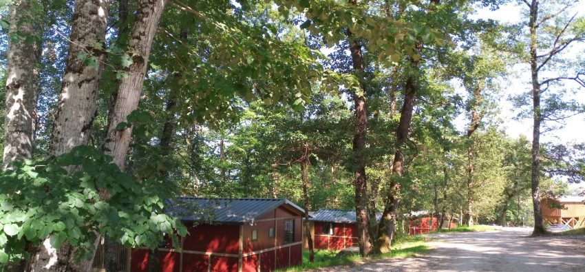 l'allée entre la zone foret et la zone lac