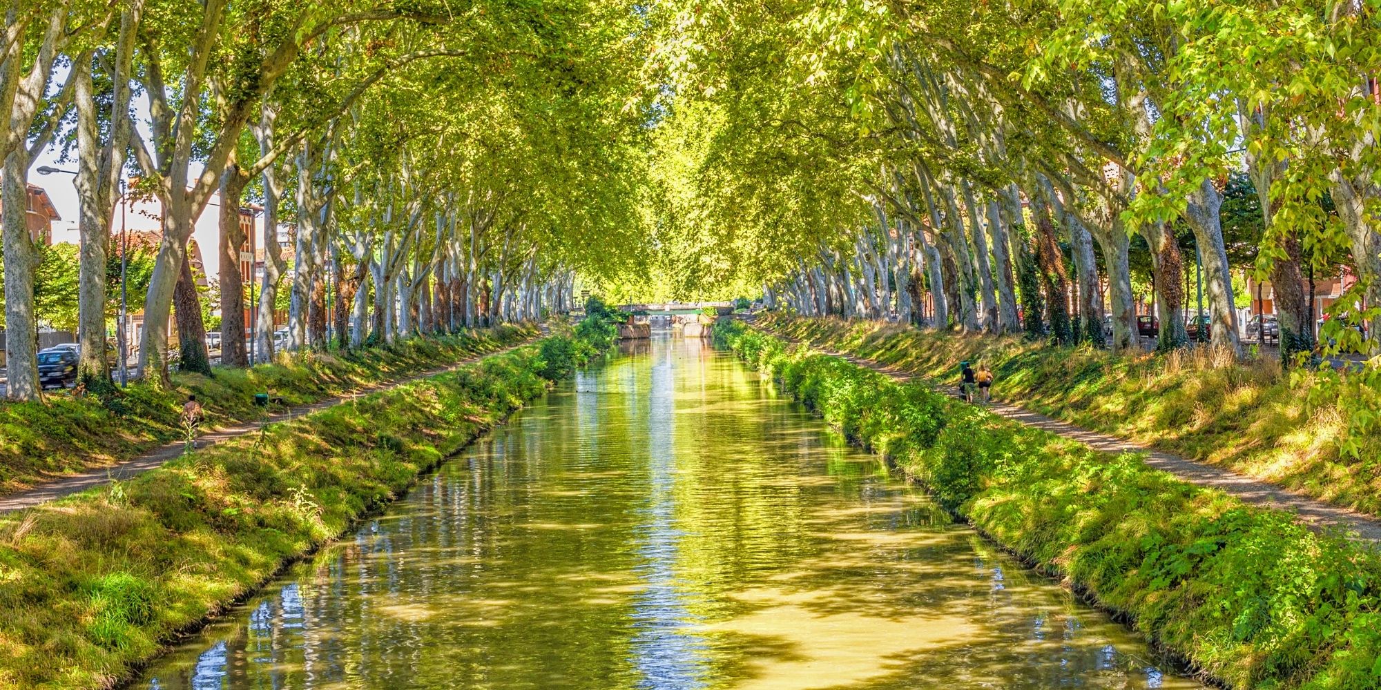 Canal du Midi : Partez à la découverte de ce joyau de l’UNESCO à pied ...