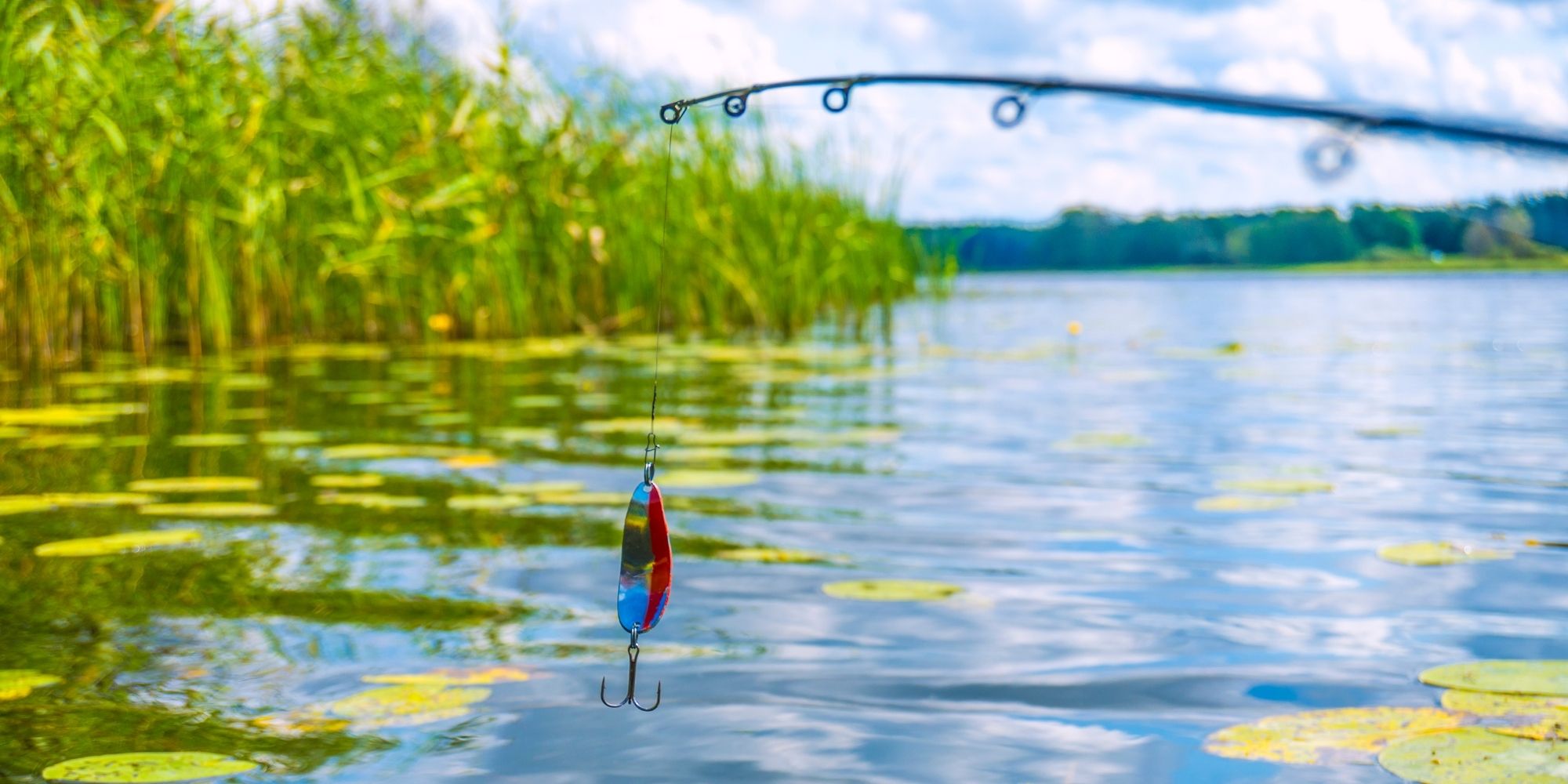 peche au lac dans le tarn